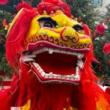 Festivals, February 05, 2023, 02/05/2023, Lunar New Year Celebration
