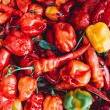 Lectures, February 24, 2023, 02/24/2023, Some Like it Hot: The History and Biology of Chili Peppers&nbsp;