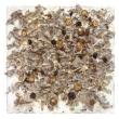 Opening Receptions, February 15, 2023, 02/15/2023, Susan Swartz: The Healing Power of Nature