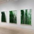 Gallery Talks, February 23, 2023, 02/23/2023, Cy Twombly: Exhibition Tour