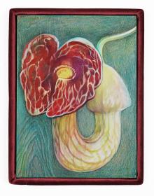 Opening Receptions, February 24, 2023, 02/24/2023, Alina Bliumis: Plant Parenthood