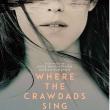 Films, May 16, 2023, 05/16/2023, Where the Crawdads Sing (2022): drama