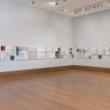 Gallery Talks, March 04, 2023, 03/04/2023, Uta Barth: Exhibition Walkthrough