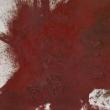 Opening Receptions, March 16, 2023, 03/16/2023, Hermann Nitsch: Selected Paintings, Actions, Relics, and Musical Scores, 1965&ndash;2020