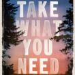Book Discussions, March 28, 2023, 03/28/2023, Take What You Need: A Novel of an Outsider Artist (online)