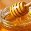 Talks, April 18, 2023, 04/18/2023, Local Honey: Cooking Demonstration and Talk