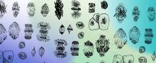Lectures, April 22, 2023, 04/22/2023, The Foundations and Future of Biodesign