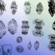 Lectures, April 29, 2023, 04/29/2023, The Foundations and Future of Biodesign