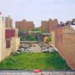 Discussions, March 23, 2023, 03/23/2023, Time in Harlem:Artists in Conversation