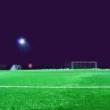 Discussions, April 19, 2023, 04/19/2023, Off the Bench: Queer Players in Sports and Sports Fandom (in-person and online)