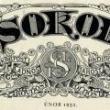 Lectures, April 21, 2023, 04/21/2023, The Paradoxes of the Czechoslovak Sokol Association after the First World War (online)