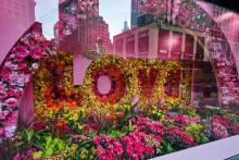 Others, April 02, 2023, 04/02/2023, 2023 Macy's Flower Show