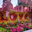 Others, April 02, 2023, 04/02/2023, 2023 Macy's Flower Show