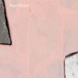 Book Discussions, April 25, 2023, 04/25/2023, Sam Moyer: Artist Monograph