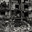 Conferences, April 14, 2023, 04/14/2023, Life in the Face of War: Political Challenges, Social Responses, Cultural Shifts