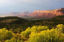 Concerts, May 01, 2023, 05/01/2023, Copland House and Its Musical Journeys Across America