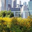 Park Walks, April 28, 2023, 04/28/2023, Horticulture Walk: The Flower Field and Dunes