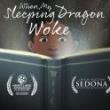 Screenings, May 06, 2023, 05/06/2023, When My Sleeping Dragon Woke (2022): documentary