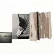 Opening Receptions, April 29, 2023, 04/29/2023, Naomi Ben-Shahar: Femina Luminous