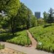 Park Walks, April 19, 2023, 04/19/2023, Earth Walk in Central Park (online)