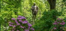 Park Walks, April 26, 2023, 04/26/2023, Shakespeare Walk in Central Park (online)