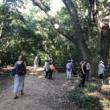 Park Walks, October 20, 2023, 10/20/2023, Forest Bathing
