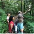 Birdwatchings, May 27, 2023, 05/27/2023, Birding Walk