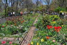 Workshops, May 27, 2023, 05/27/2023, Art en Plein Air Workshop