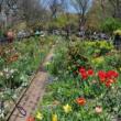 Workshops, May 27, 2023, 05/27/2023, Art en Plein Air Workshop