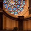 Concerts, May 09, 2023, 05/09/2023, Organ Concert