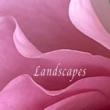 Opening Receptions, May 09, 2023, 05/09/2023, Landscapes: Group Show