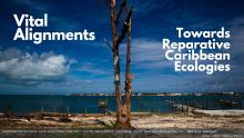 Symposiums, May 12, 2023, 05/12/2023, Vital Alignments: Towards Reparative Caribbean Ecologies