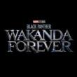 Movie in a Parks, June 02, 2023, 06/02/2023, Black Panther: Wakanda Forever (2022): Oscar-Winning Superhero Sequel