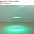Opening Receptions, May 19, 2023, 05/19/2023, Pamela Rosenkranz: Liquid Mimesis