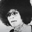 Lectures, May 19, 2023, 05/19/2023, Aesthetics of Black Power (online)