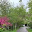 Talks, June 14, 2023, 06/14/2023, Keep It Wild: Native Plants in the Park