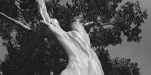 Opening Receptions, May 25, 2023, 05/25/2023, Valdir Cruz: Brazilian Landscapes