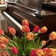 Concerts, June 02, 2023, 06/02/2023, Piano Salon Adult Recital