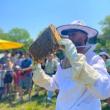 Talks, June 10, 2023, 06/10/2023, Hive Dive: Meet the Bees and the Beekeeper