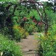 Park Walks, September 21, 2023, 09/21/2023, Park Tour: Habitat Garden