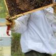 Talks, September 09, 2023, 09/09/2023, Meet the Beekeeper