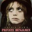 Films, September 13, 2023, 09/13/2023, Private Benjamin (1980) with Goldie Hawn