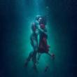 Films, September 30, 2023, 09/30/2023, Academy Award Winner The Shape of Water (2017) Directed by&nbsp;Guillermo del Toro
