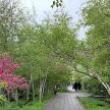 Talks, September 13, 2023, 09/13/2023, Native Plants in the Park