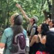 Birdwatchings, November 25, 2023, 11/25/2023, Park Birding Club