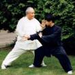 Workshops, October 08, 2023, 10/08/2023, Sunday Morning Tai Chi in the Park