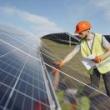 Discussions, September 19, 2023, 09/19/2023, Corporate Net Zero Pledges: Are Nature-Based Offsets Legitimate?