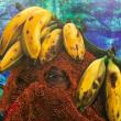 Opening Receptions, September 07, 2023, 09/07/2023, Cornelius Tulloch: Vendah