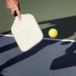 Workshops, October 19, 2023, 10/19/2023, Pickleball Clinic