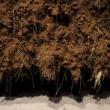 Gallery Talks, November 25, 2023, 11/25/2023, Delcy Morelos: El abrazo: Artist Walkthrough